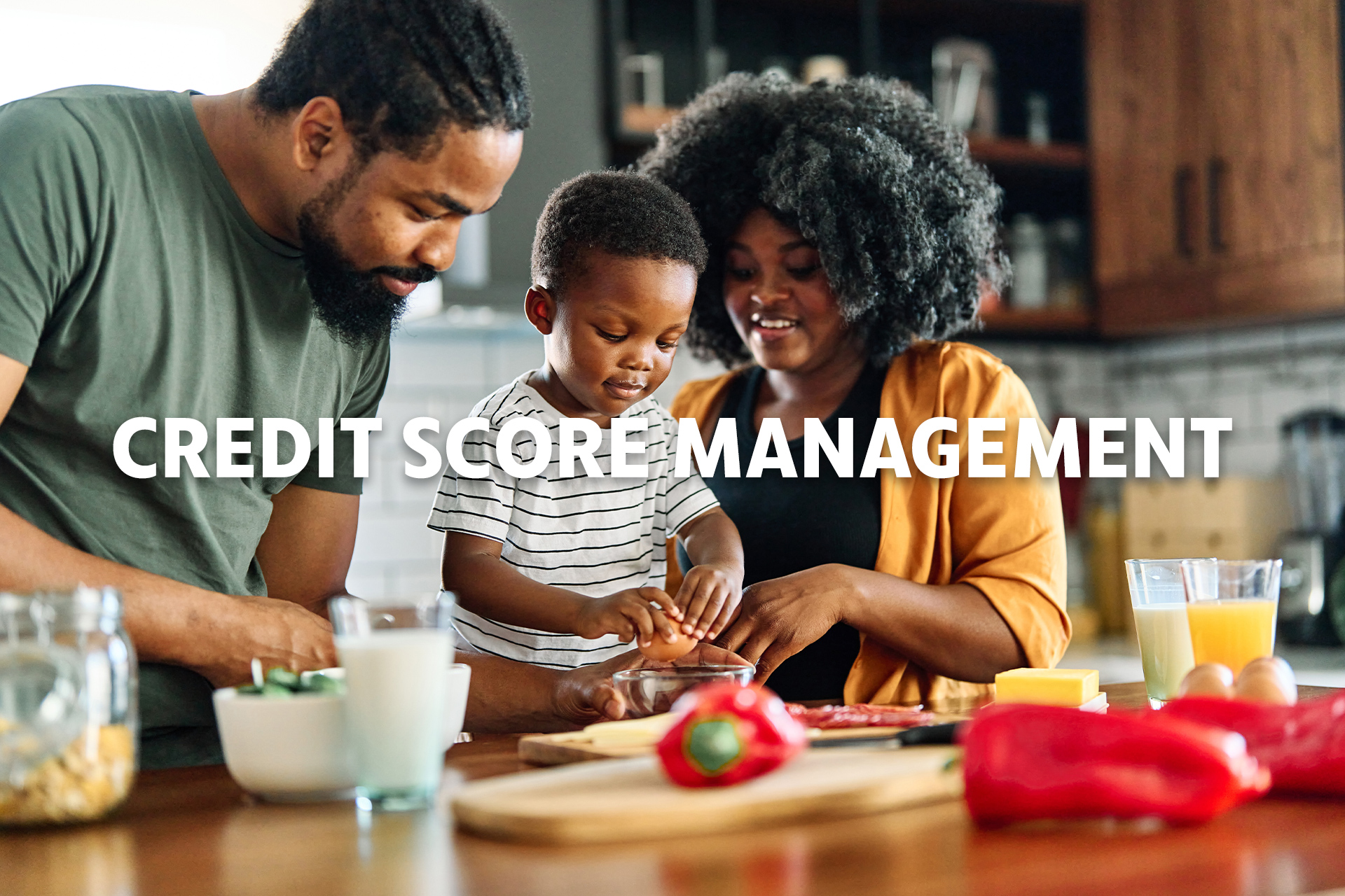 Web Slider Credit Score Management